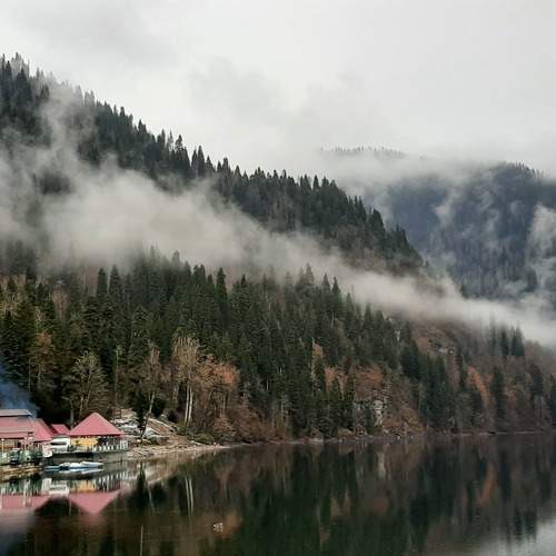 Photo #10668343