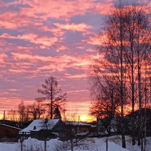 Photo #10668438