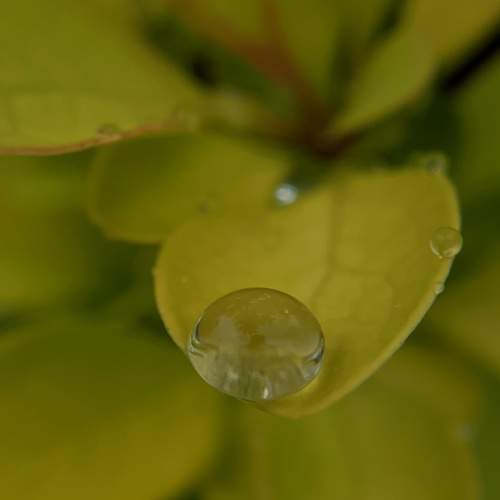 Photo #10668637