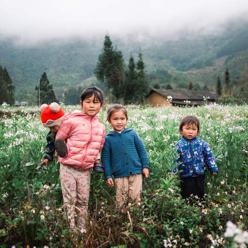 Photo #10668741