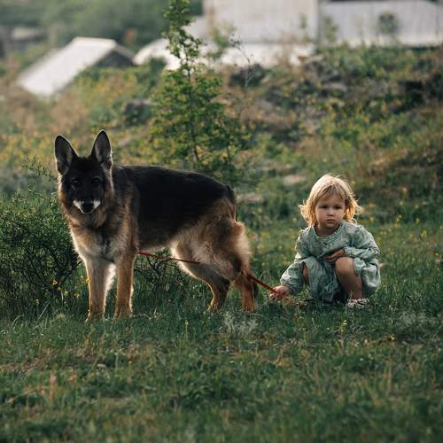 Photo #10668830