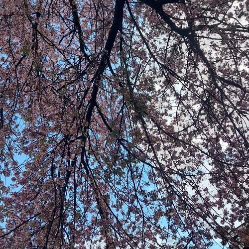 Photo #10669407