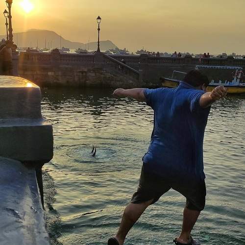 Photo #10669563