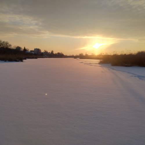Photo #10669571
