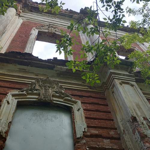 Photo #10669707