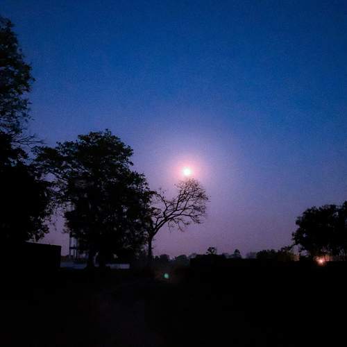 Photo #10669717