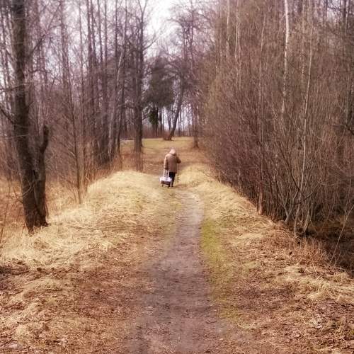 Photo #10669758
