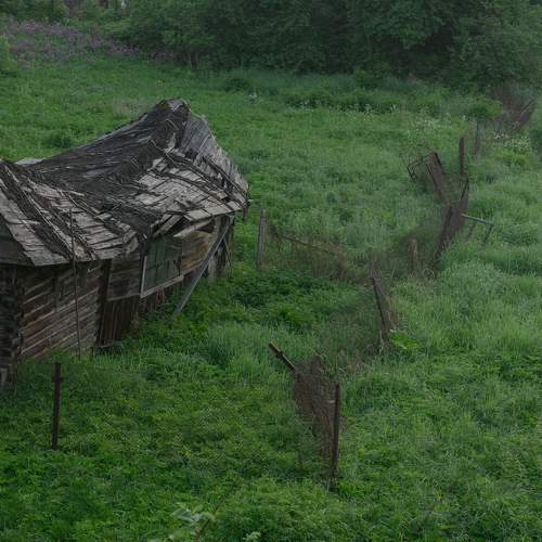 Photo #10669821