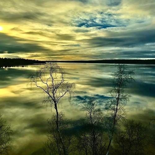 Photo #10669880