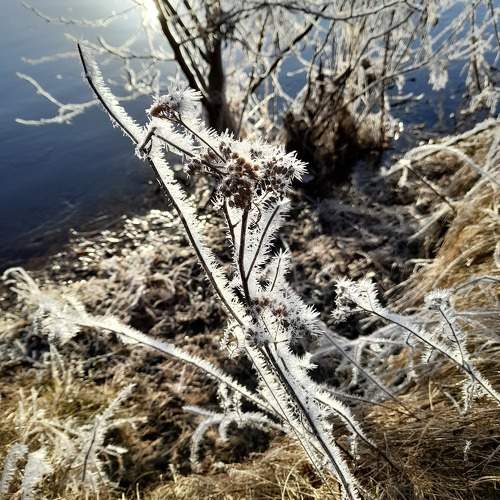 Photo #10670201