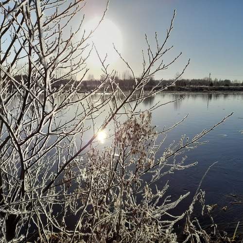 Photo #10670209