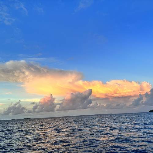 Photo #10670216