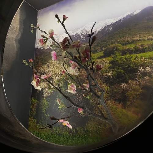 Photo #10670335