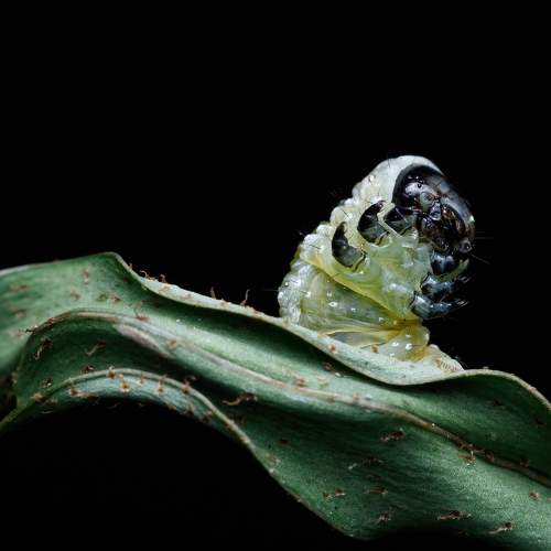 Photo #10670433