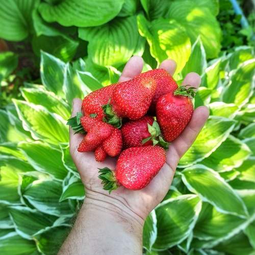 Photo #10670458