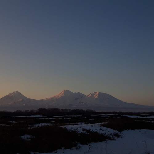 Photo #10670532