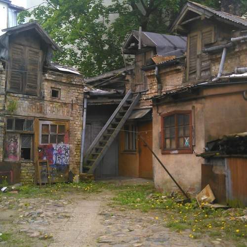 Photo #10670539
