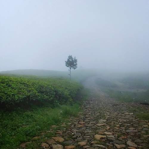 Photo #10670601