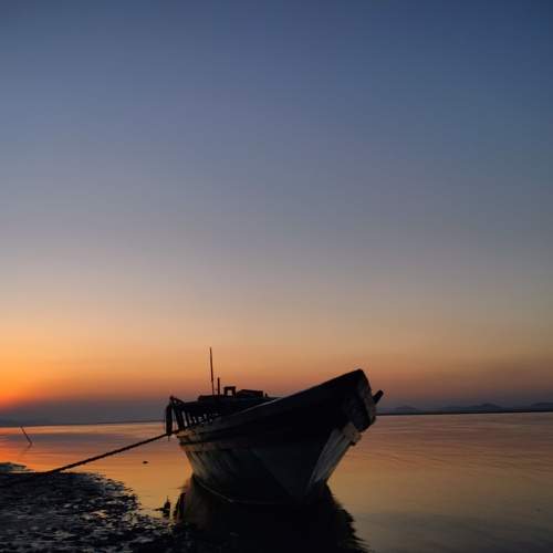 Photo #10670724