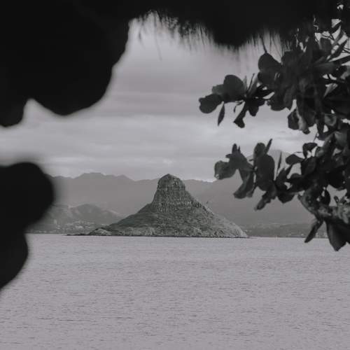 Photo #10670871