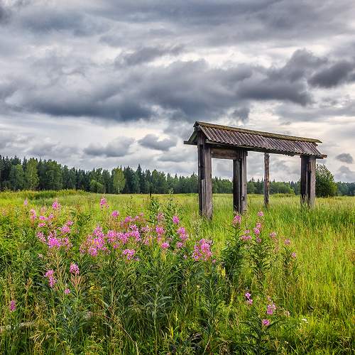 Photo #10670885