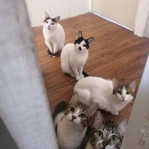 Photo #10670993