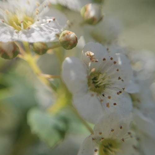Photo #10671024