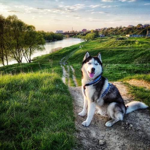Photo #10671243