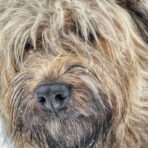 Photo #10671304