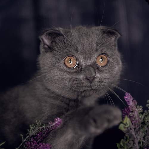 Фотография #10671379