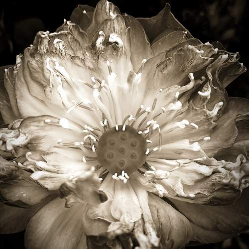 Photo #10671504