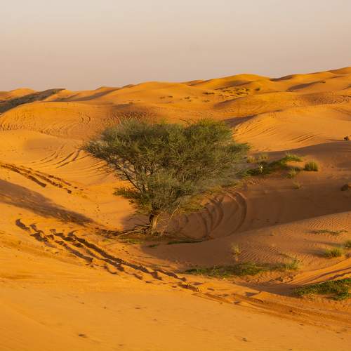 Photo #10671552