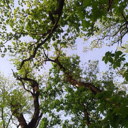 Photo #10671633