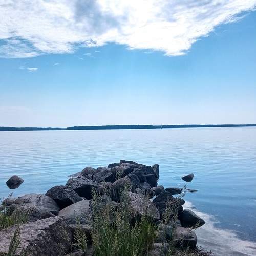 Photo #10671676