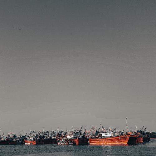Photo #10672250