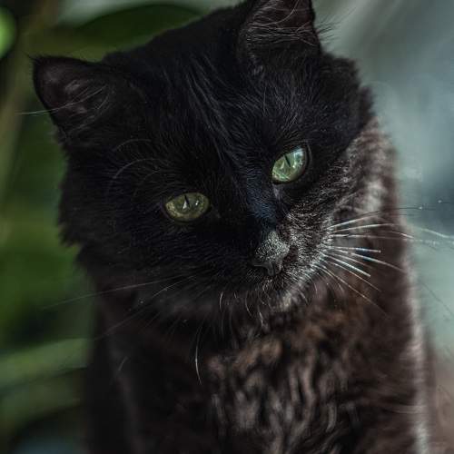 Photo #10672306