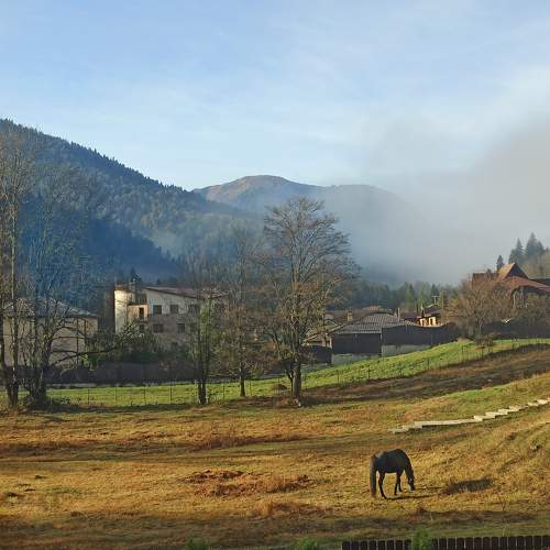 Photo #10672333