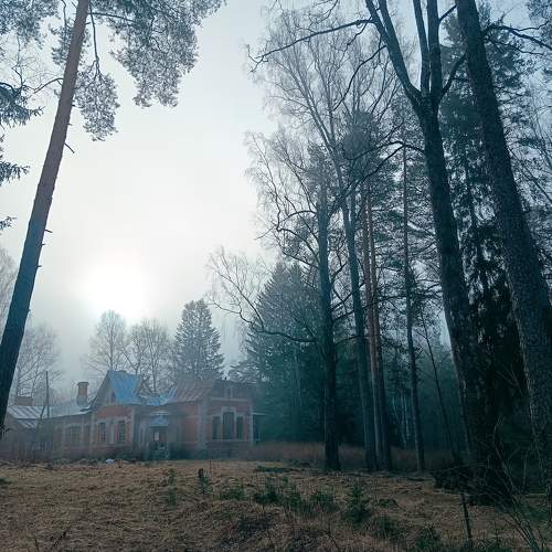 Photo #10672410