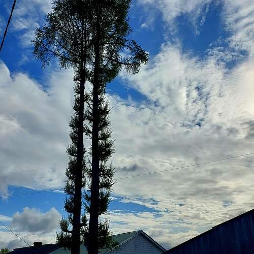 Photo #10672435