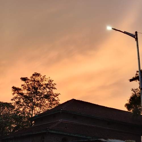 Photo #10672464