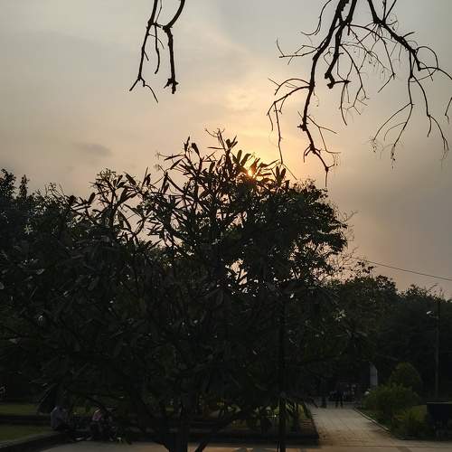 Photo #10672472