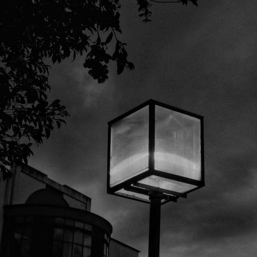 Photo #10672702