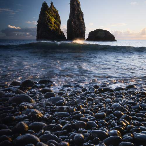 Photo #10673276