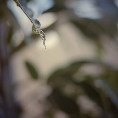 Photo #10673331