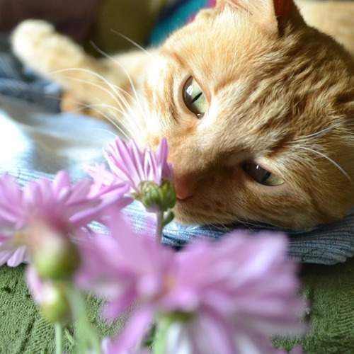 Photo #10673357
