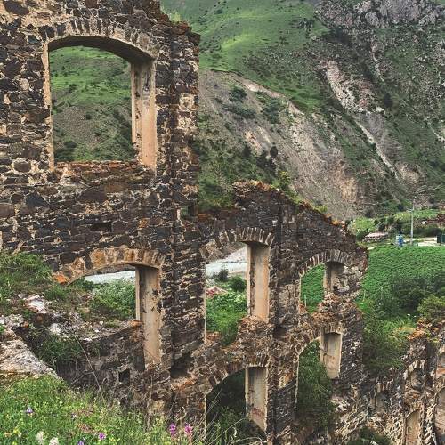 Photo #10673502