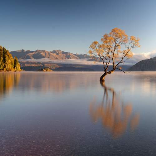 Photo #10673595