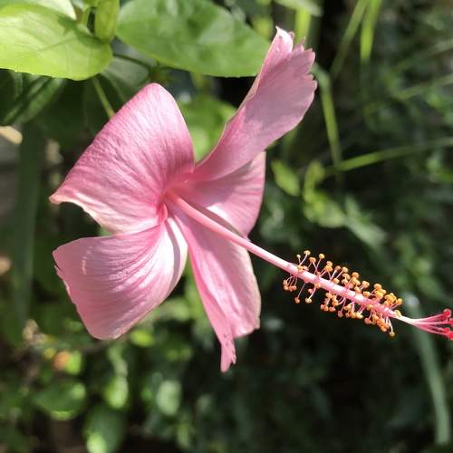 Photo #10673785