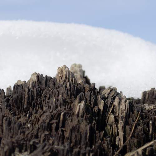 Фотография #10673914