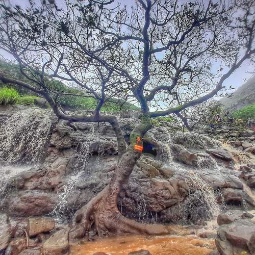 Against the flow